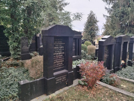 LN židé Koppl
