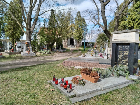 hrob Šaškovi